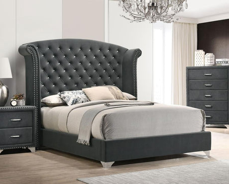 Melody Gray Eastern King Wingback Upholstered Bed by Coaster at Eve Furniture