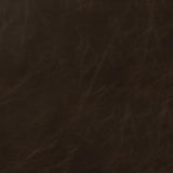 Michelle Two-tone Brown/Black Armless Counter Height Stools, Set of 2 by Coaster at Eve Furniture