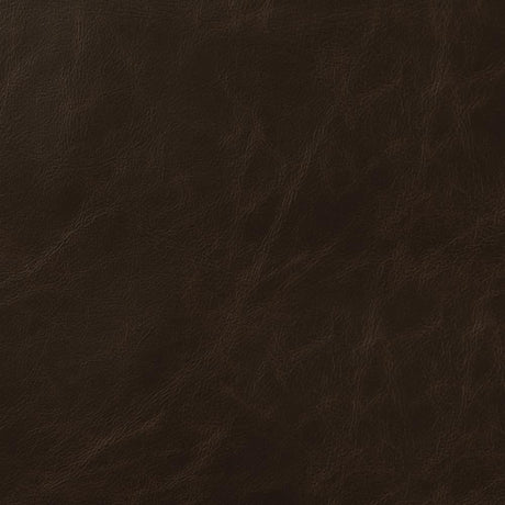 Michelle Two-tone Brown/Black Armless Counter Height Stools, Set of 2 by Coaster at Eve Furniture