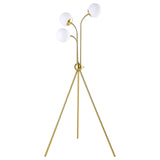 Miley Gold Trio Tree Floor Lamp by Coaster at Eve Furniture