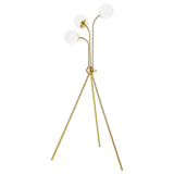 Miley Gold Trio Tree Floor Lamp by Coaster at Eve Furniture