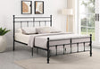Novak Matte Black 48-inch Metal Eastern King Open Frame Bed by Coaster at Eve Furniture