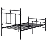 Novak Matte Black 48-inch Metal Twin Open Frame Bed by Coaster at Eve Furniture