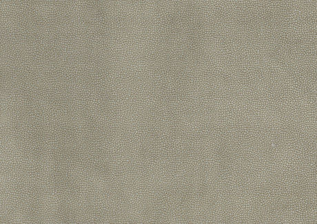 Nutmeg Beige Glider Reclining Chair by Homelegance at Eve Furniture