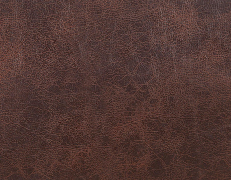 Ottawa Walnut Power Lift Chair with Heat and Massage by Steve Silver at Eve Furniture