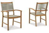 Janiyah Light Brown Outdoor Dining Arm Chair