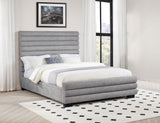 Patricia Grey 58-inch Boucle Upholstered Queen Bed by Coaster at Eve Furniture