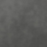 Raelynn Grey 2-Piece Upholstered Motion Reclining Sofa Set by Coaster at Eve Furniture