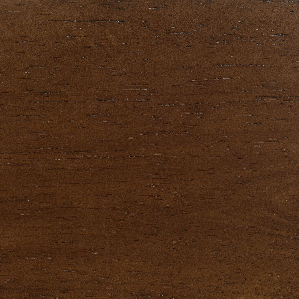 Rayo Camel Rattan Cane Back Accent Chair with Padded Seat by Coaster at Eve Furniture