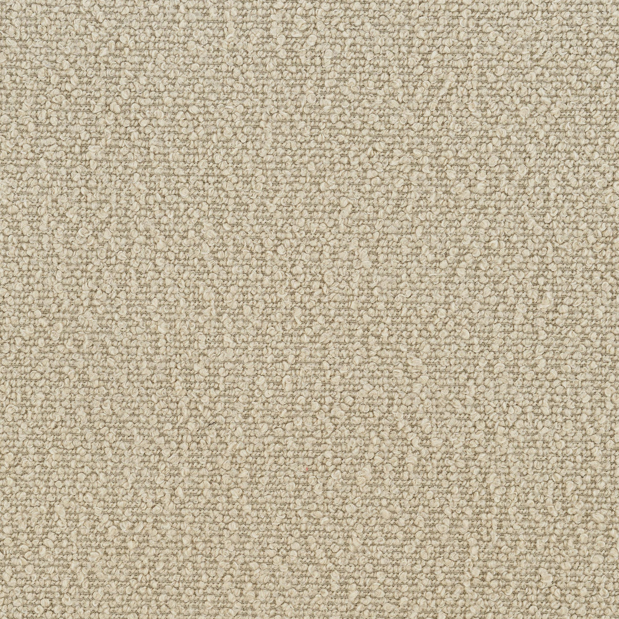 Rayo Camel Rattan Cane Back Accent Chair with Padded Seat by Coaster at Eve Furniture