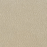 Rayo Camel Rattan Cane Back Accent Chair with Padded Seat by Coaster at Eve Furniture