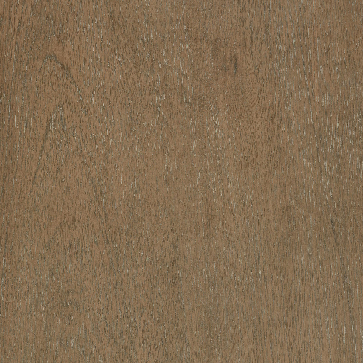 Revello Washed Mango Eastern King Panel Bed by Coaster at Eve Furniture