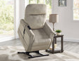 Rhodes Versatile Beige Power Lift Chair by Steve Silver at Eve Furniture