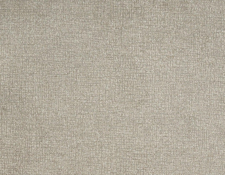 Rhodes Versatile Beige Power Lift Chair by Steve Silver at Eve Furniture