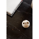 Ritual Black Coffee Table by Moe's Home at Eve Furniture