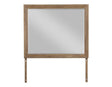 Riverdale Distressed Beveled Edge Mirror by Steve Silver at Eve Furniture