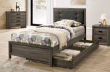 Roanne Gray/Charcoal Twin Bed by Furniture of America at Eve Furniture