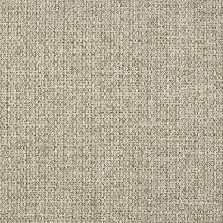 Robyn Light Ash Wood Twin Platform Bed by Coaster at Eve Furniture