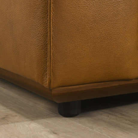 Hanky Geniune Tan Leather Sofa by Ashcroft Imports at Eve Furniture