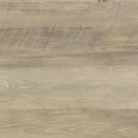 Sachin Rectangular TV Console with Glass Doors by Coaster at Eve Furniture