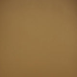 Spara Performance Vegan Leather Counter Stool by TOV Furniture at Eve Furniture