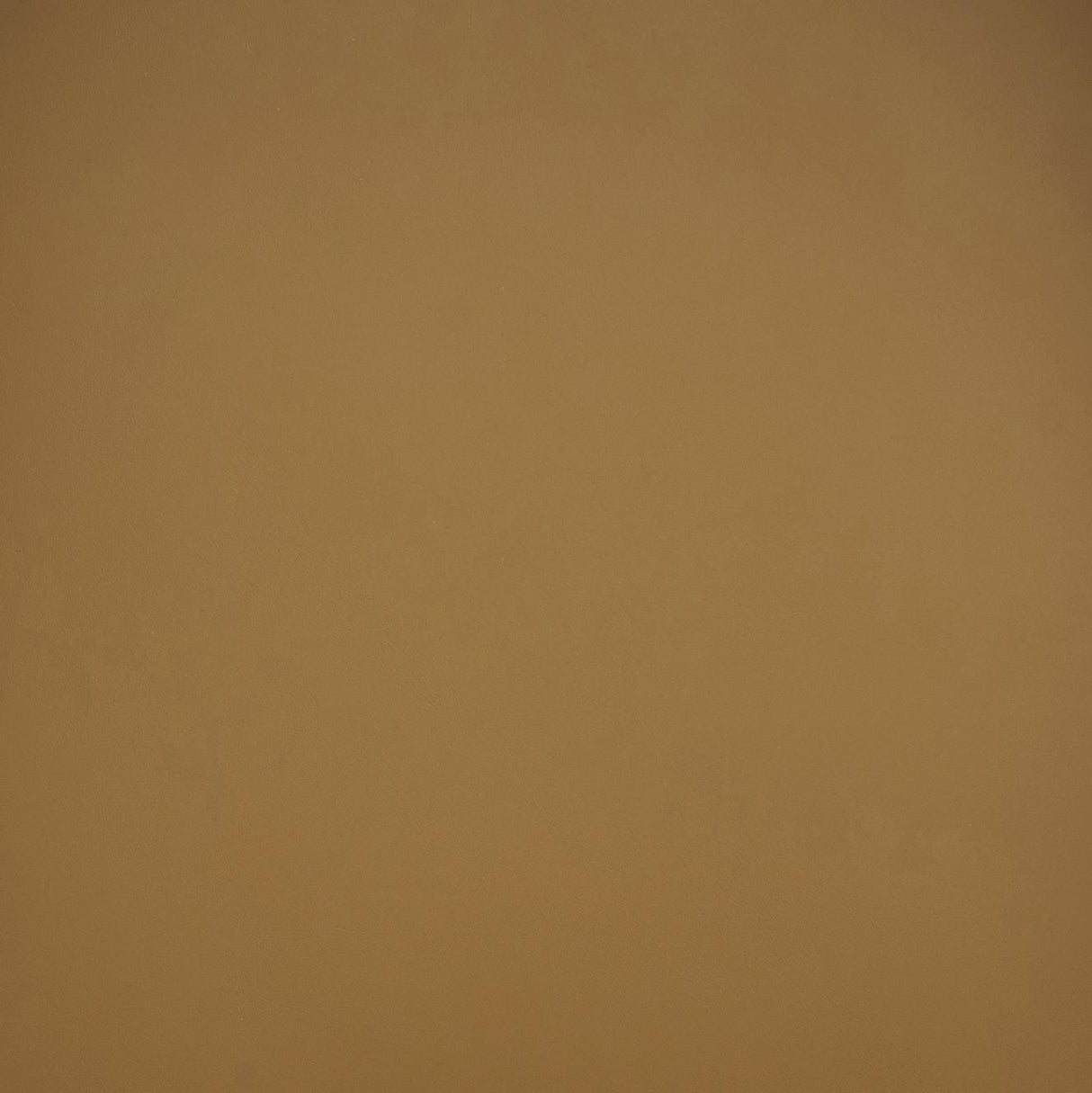 Spara Performance Vegan Leather Dining Chair by TOV Furniture at Eve Furniture