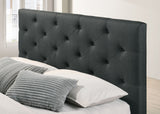 Sybella Dark Gray Twin Bed by Furniture of America at Eve Furniture