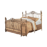 Sydney Antique Brushed Gold Eastern King Bed by Coaster at Eve Furniture