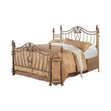 Sydney Antique Brushed Gold Queen Bed by Coaster at Eve Furniture