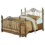 Sydney Brushed Gold Metal Queen Open Frame Bed by Coaster at Eve Furniture