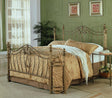 Sydney Brushed Gold Metal Queen Open Frame Bed by Coaster at Eve Furniture