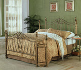 Sydney Brushed Gold Metal Queen Open Frame Bed by Coaster at Eve Furniture