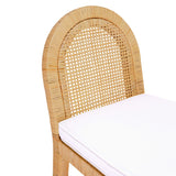 Amara Natural Rattan and Performance Fabric Arched Back Dining Chair by TOV Furniture at Eve Furniture