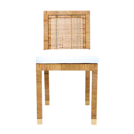 Amara Rattan Performance Fabric Dining Chair by TOV Furniture at Eve Furniture