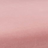 Kim Velvet Dining Chair by TOV Furniture at Eve Furniture