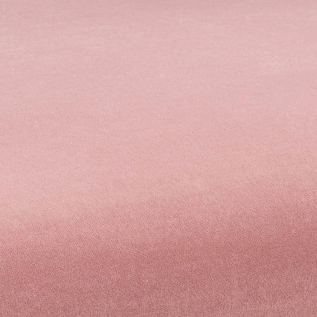 Kim Velvet Dining Chair by TOV Furniture at Eve Furniture