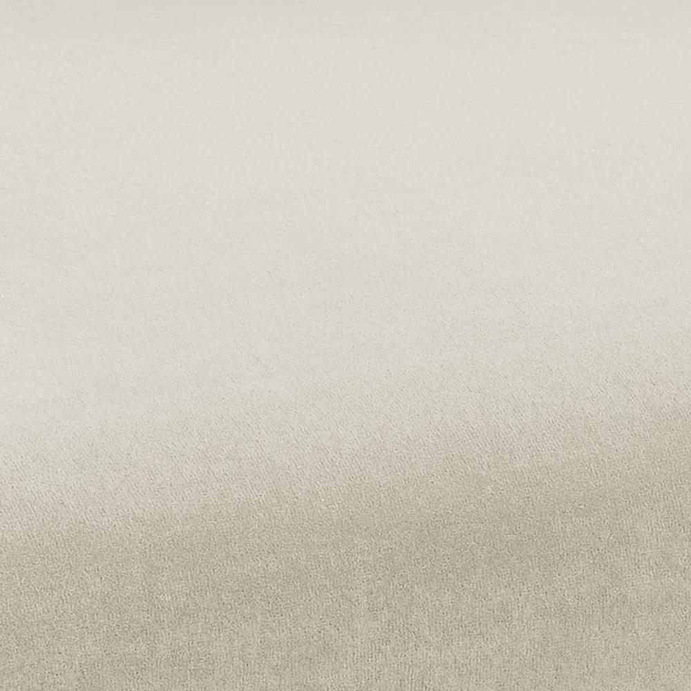 Kim Velvet Dining Chair by TOV Furniture at Eve Furniture