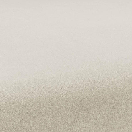 Kim Velvet Dining Chair by TOV Furniture at Eve Furniture