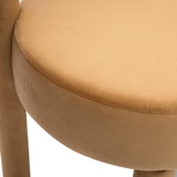 Carmel Velvet Dining Chair by TOV Furniture at Eve Furniture