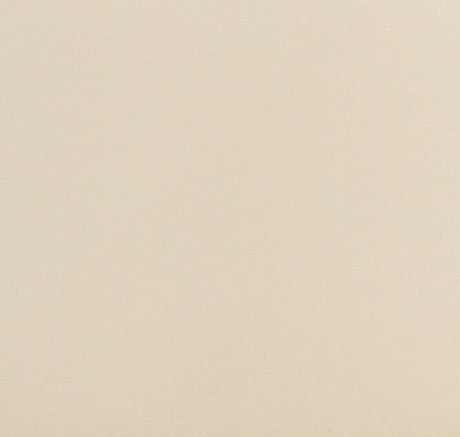 Leo Performance Vegan Leather Dining Chair by TOV Furniture at Eve Furniture