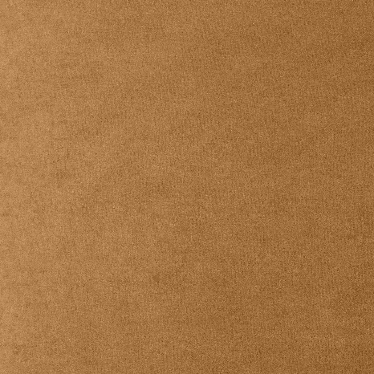 Tiara Performance Velvet and Oak Dining Chair by TOV Furniture at Eve Furniture