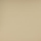 Betsy Taupe Vegan Leather Dining Chair by TOV Furniture at Eve Furniture