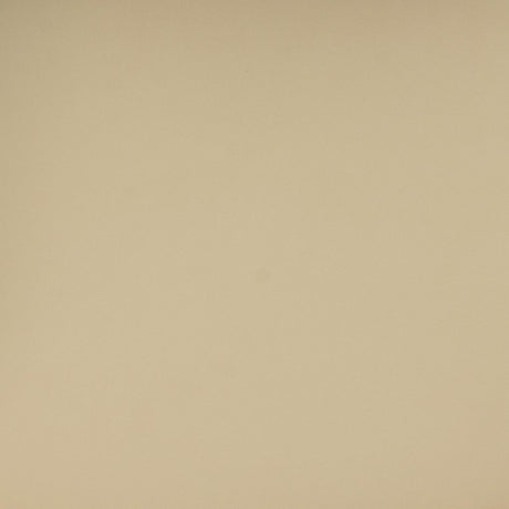 Betsy Taupe Vegan Leather Dining Chair by TOV Furniture at Eve Furniture