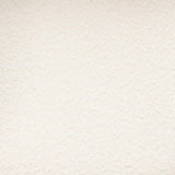 Betsy Cream Boucle Dining Chair by TOV Furniture at Eve Furniture