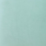 Rebecca Performance Velvet Dining Chair by TOV Furniture at Eve Furniture