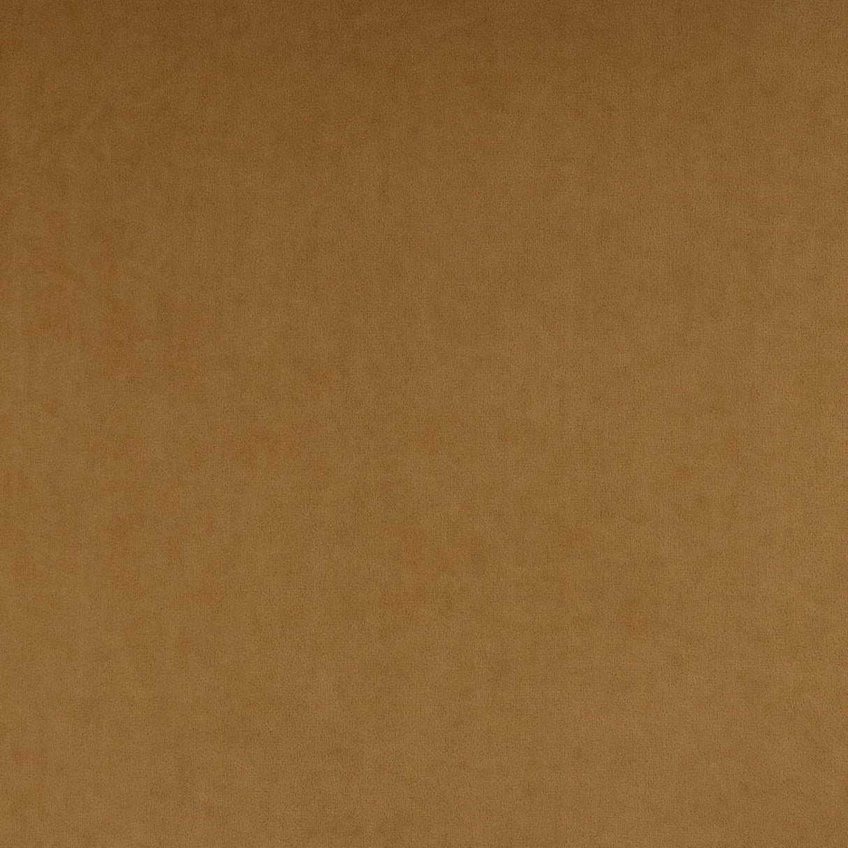 Calla Performance Velvet Dining Chair by TOV Furniture at Eve Furniture