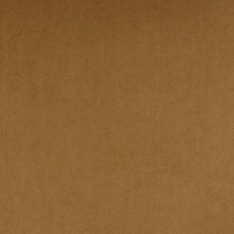 Calla Performance Velvet Dining Chair by TOV Furniture at Eve Furniture