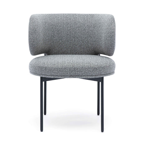 Maureen Speckled Grey Performance Boucle Dining Chair by TOV Furniture at Eve Furniture