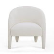 Kris Chenille Accent Chair by TOV Furniture at Eve Furniture