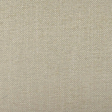 Tiara Performance Basketweave Fabric Dining Chair by TOV Furniture at Eve Furniture